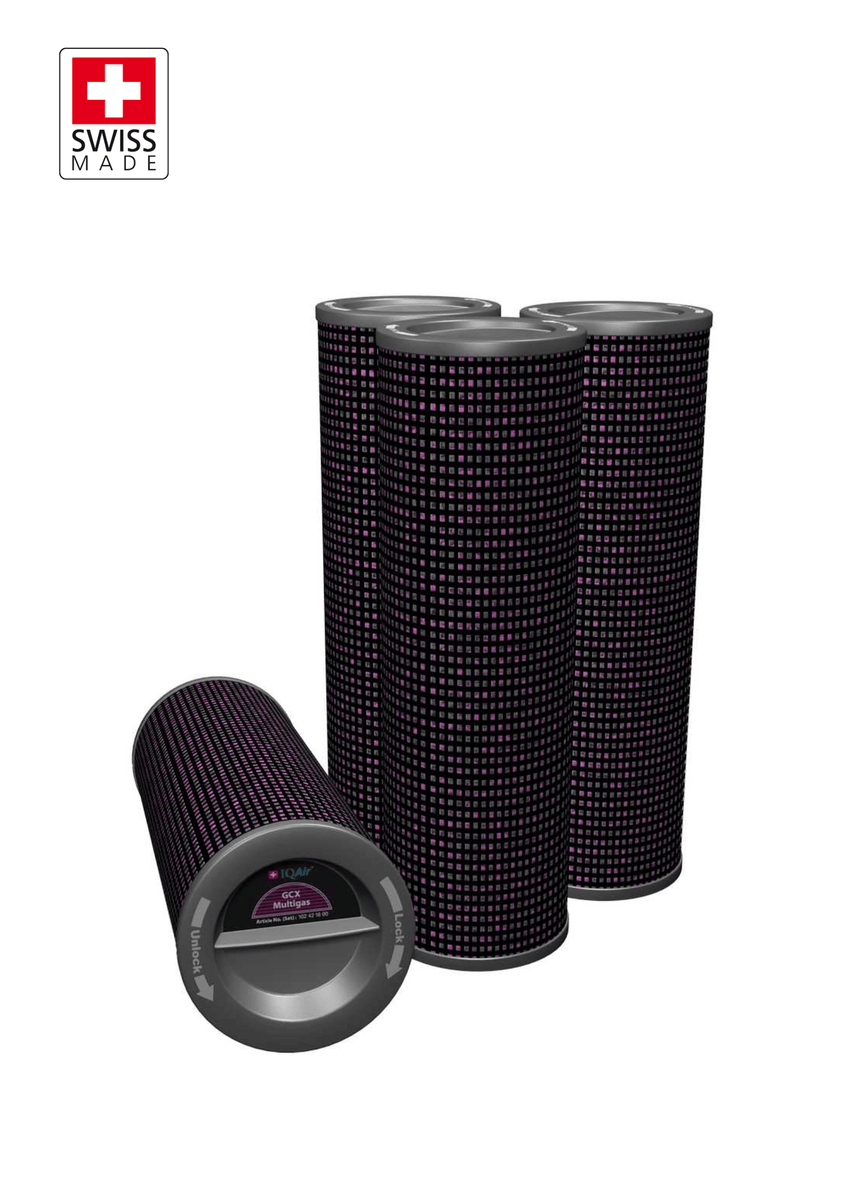 IQAir GC MultiGas - F2: Cartridges Filter (Original Swiss Made) – NATROshop